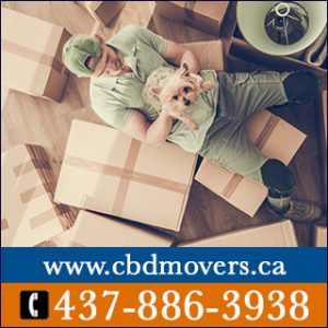 Movers Toronto