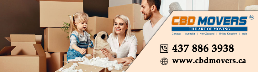 CBD movers and packers in Brampton