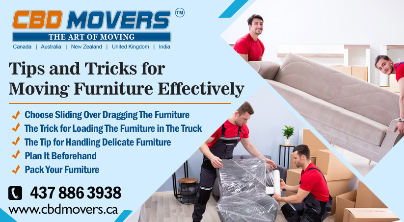 Movers Brampton