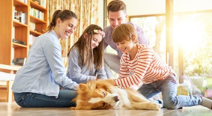 Figure out what you’ll do with your kids and pets